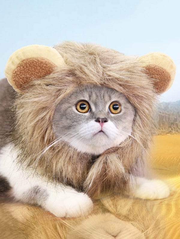 Halloween Cat Adjustable Lion Design Pet Hat