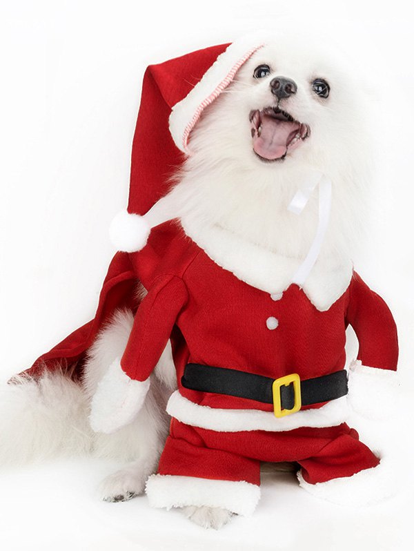 Christmas Santa Pet Hat Clothing Set