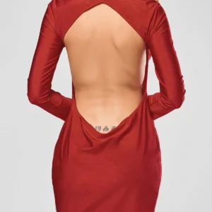 Scoop Collar Solid Color Backless Long Sleeves Women's Bodycon D