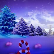 20171123194830_13586 (1)-1