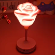 20171204110402_25678