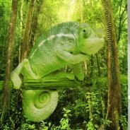 20180110174557_54717