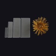 20180510163654_63093-1