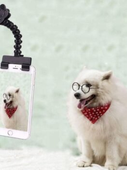 Pet Selfie Stick Photo Artifact Cat Dog Look Camera Funny Tool