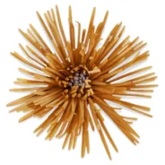 20180901152847_81553