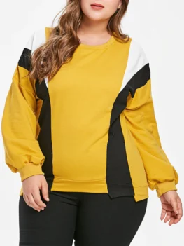 lus Size Color Block Drop Shoulder Sweatshirt