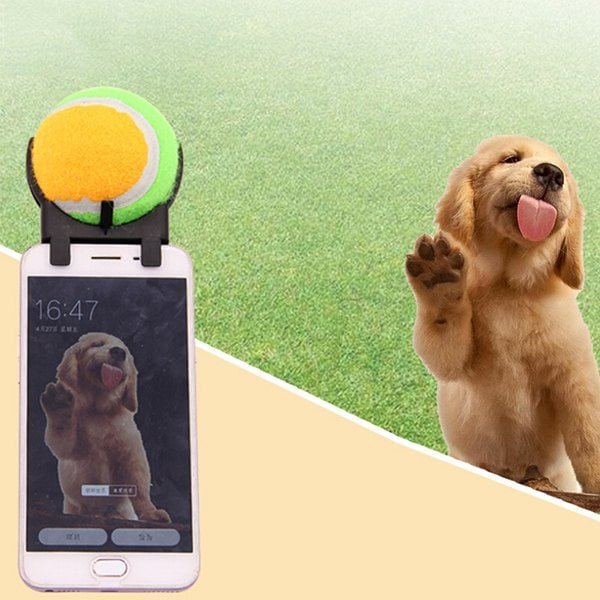 20181122100806_85857-1 20181122100806_85857-1