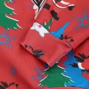 20181122194521_67685-1