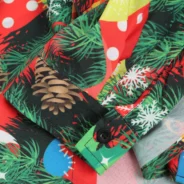 20181130162420_25338-1