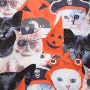 20190805164113_58321-1