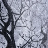 20190816105919_44178-3