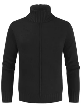 Casual Style Solid Color Turtleneck Sweater