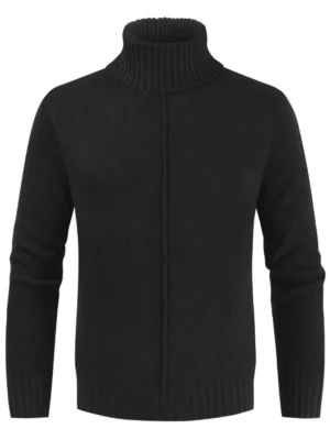 Casual Style Solid Color Turtleneck Sweater