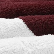 20190911103714_51593-1