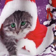 20190920103545_13487-1