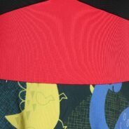 20190930145904_96672-1