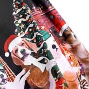 20191018165848_75189-3