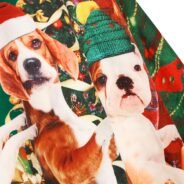 20191104193932_5dc00df4d4842-1