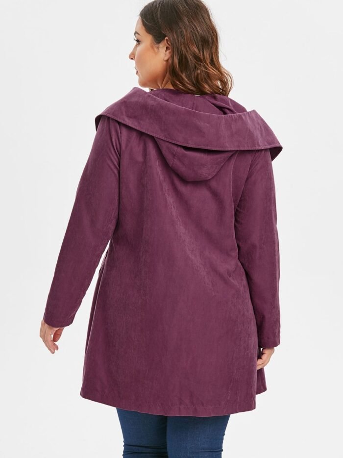 20191203181316_5de6353ca8e2d-1