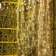 20200221173747_5e4fa4eb9e222-1