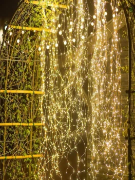 20200221173747_5e4fa4eb9e222-1