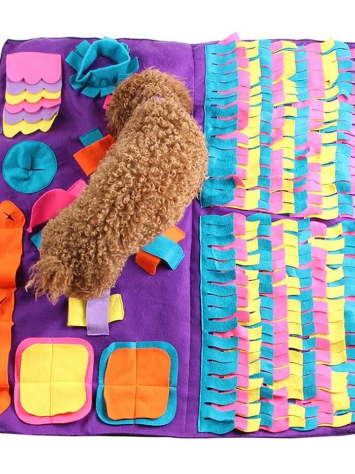 20200319102747_5e72d8a3f369d 20200319102747_5e72d8a3f369d