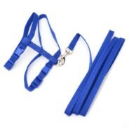 20200319110647_5e72e1c7a12ed