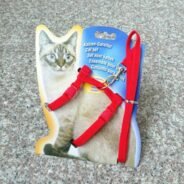 20200319110647_5e72e1c7bceb1