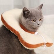 20200331184110_5e831e46d8382