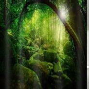 20200423164908_5ea15684978e5