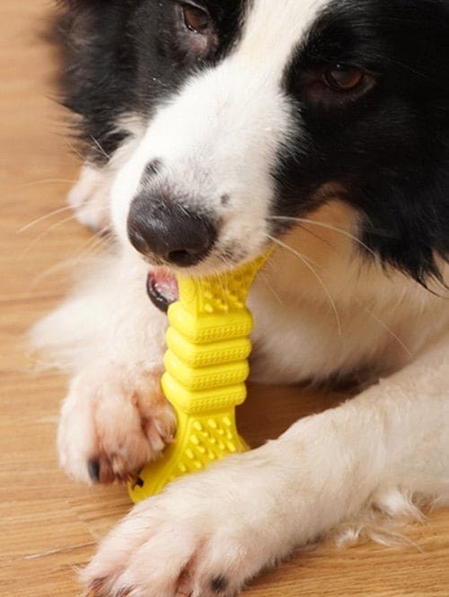 20200507162231_5eb3c547cd807 20200507162231_5eb3c547cd807