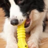 20200507162231_5eb3c547dc9f5-1