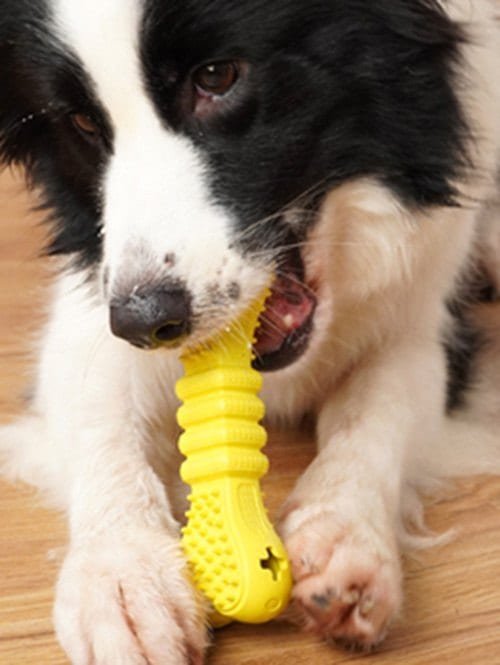 20200507162231_5eb3c547dc9f5-1 20200507162231_5eb3c547dc9f5-1