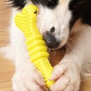 20200507162231_5eb3c547ebd9e