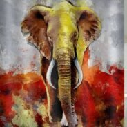 20200514135818_5ebcddfab684b