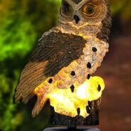 20200528111800_5ecf2d68e7638