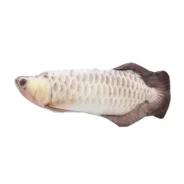 20200602194945_5ed63cd93b28d-1