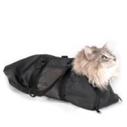 20200610180555_5ee0b0831c47c