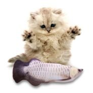 20200619160016_5eec70907121a