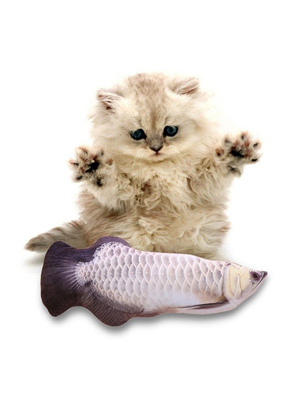 20200619160016_5eec70907121a 20200619160016_5eec70907121a