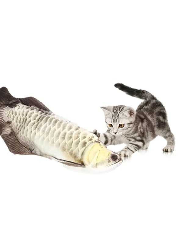 20200619160016_5eec709082333 20200619160016_5eec709082333