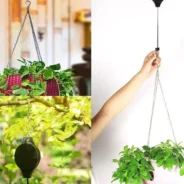 20200628155802_5ef84d8ab6a0c