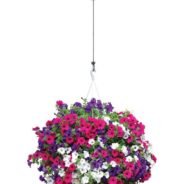 20200628155802_5ef84d8aecbbb