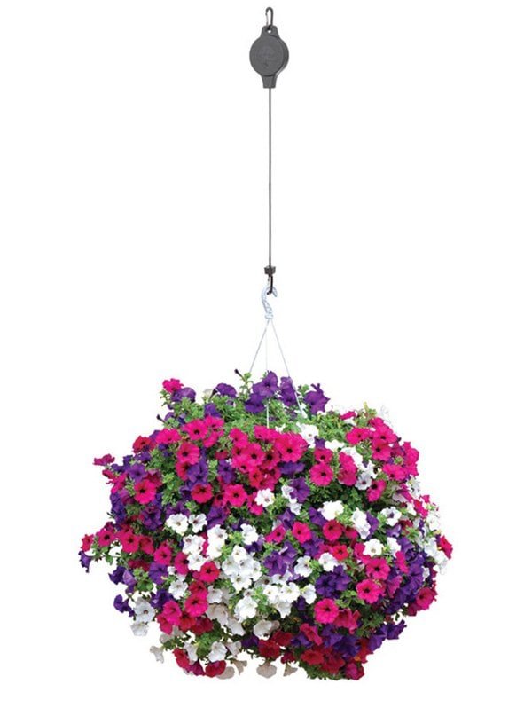 20200628155802_5ef84d8aecbbb 20200628155802_5ef84d8aecbbb