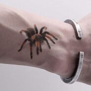 20200706165741_5f02e7852f81e-1