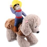 20200715185807_5f0ee13fc24b8