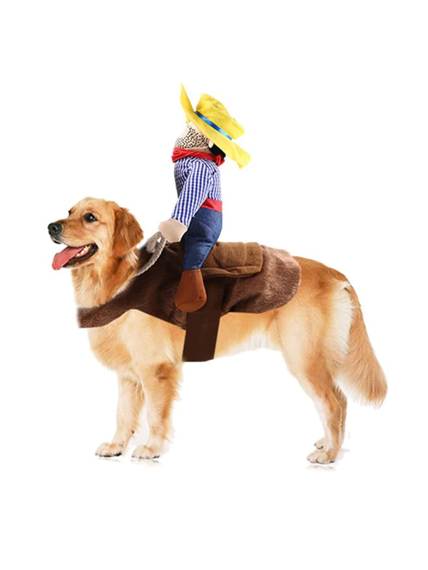 Halloween Pet Supplies Riding Man Embellished Funny Cat Clothes