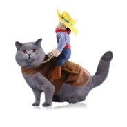 20200715185808_5f0ee14092f4d-1