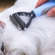 20200804192626_5f2945e213d29