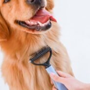 20200804192626_5f2945e223bf2